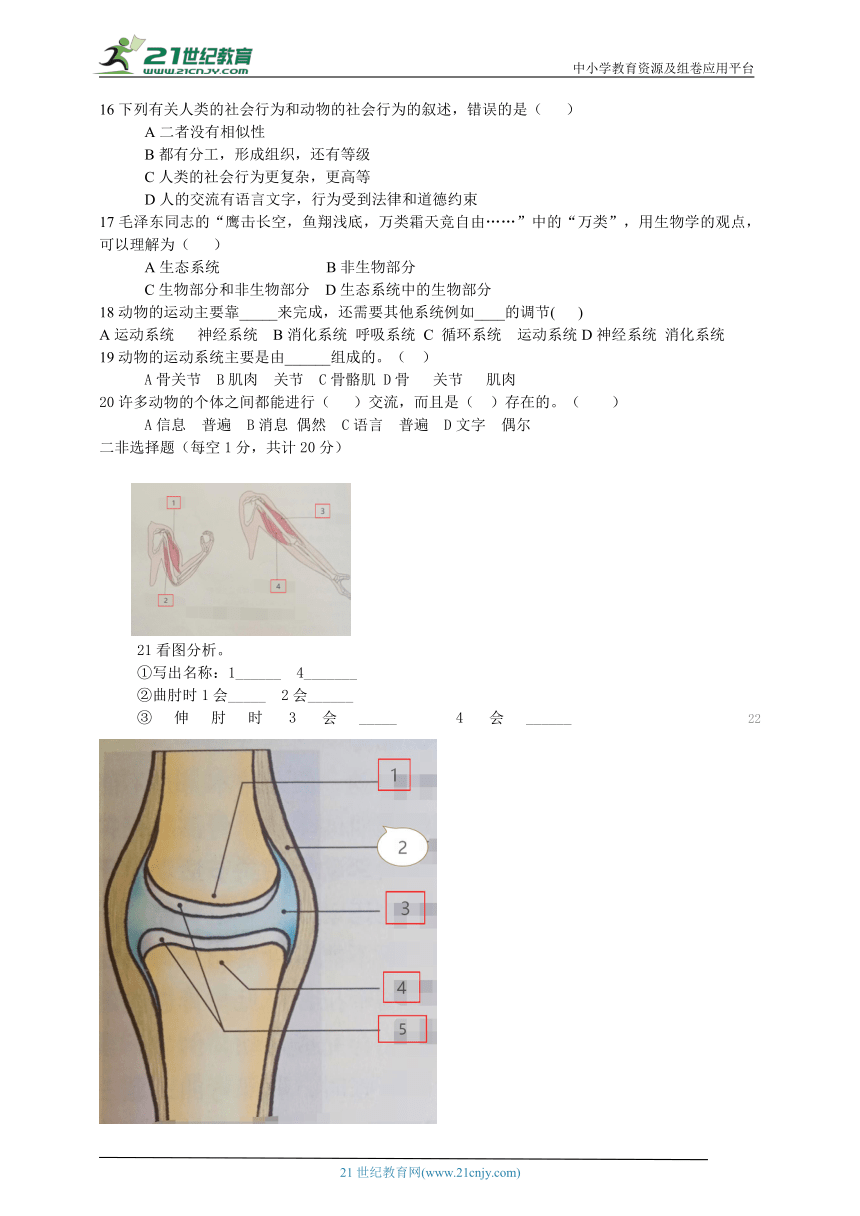 人教版八年级第二章~第三章 综合测试题（含答案）