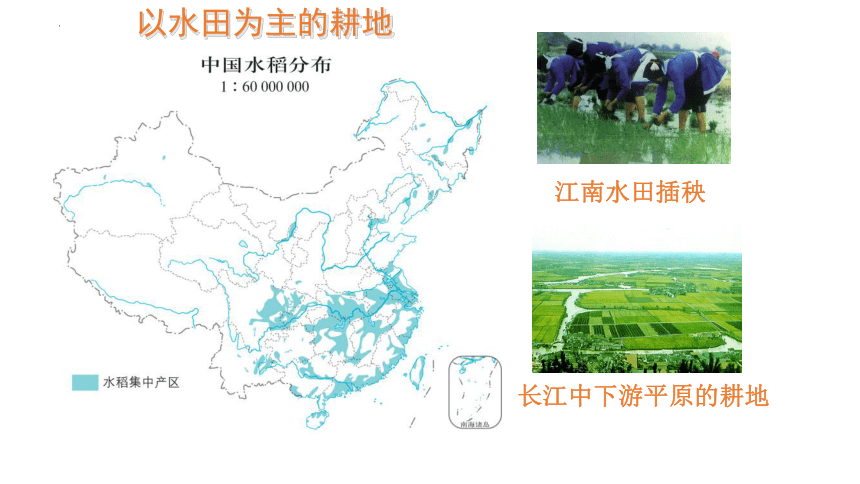 4.2 土地资源与农业-2022-2023学年七年级地理下册同步精品课件（中图版）(共54张PPT)