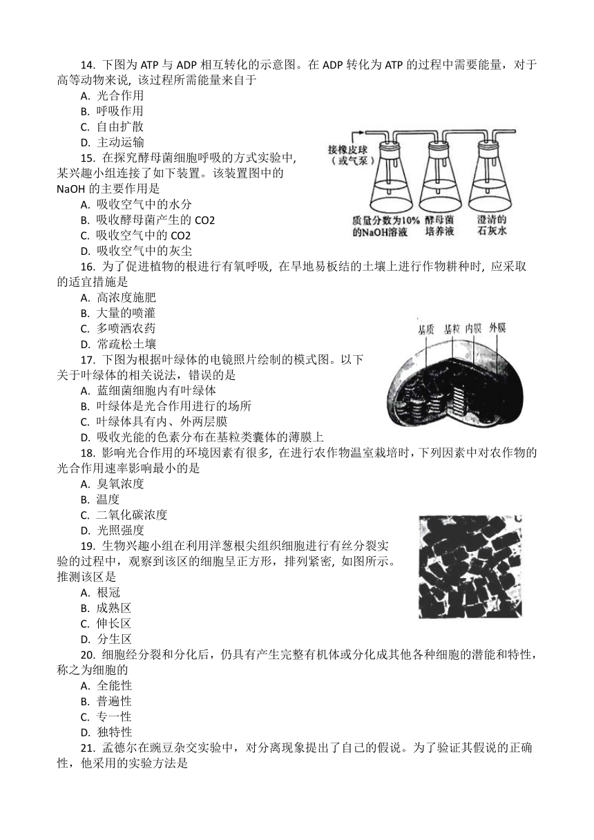 2023年湖北省普通高中学业水平合格性考试模拟（三）生物学试题（5月）（Word版含答案）