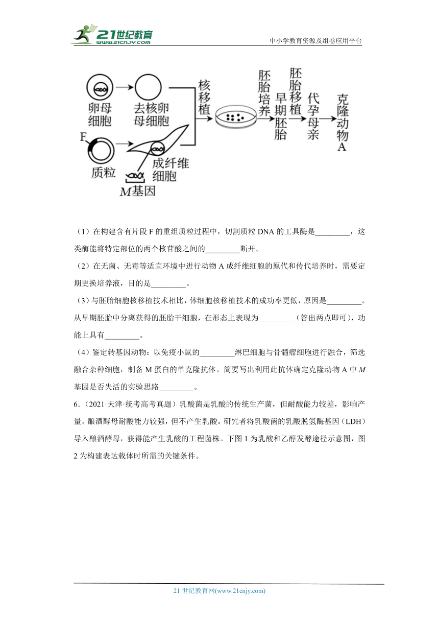 五年2018-2022高考生物真题按知识点分类汇编92-生物技术与工程-基因工程的操作程序综合题（含解析）