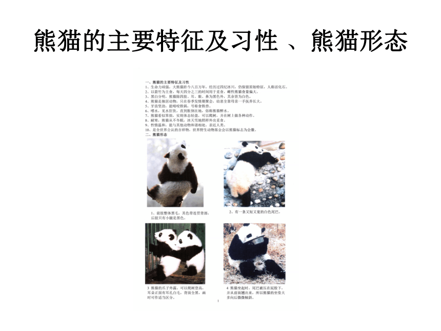 四年级下册美术 第6课  中国画-学画大熊猫课件（14张PPT）