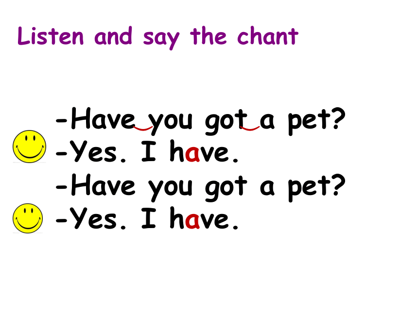 Unit1 Pets Lesson1 课件(共14张PPT)