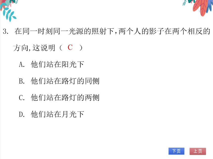 【北师大版】数学九（上）第5章 投影与视图 期末复习学案（课件版）