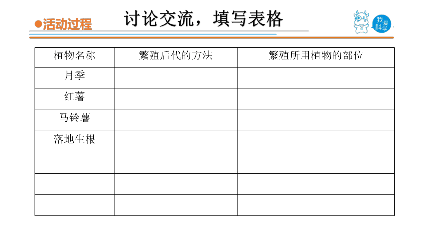 青岛版《科学》三年级下册第四单元《植物的生长》 14 植物的“分身术”教学课件(共21张PPT)