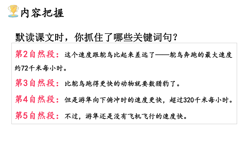 7 什么比猎豹的速度更快课件（27张PPT)