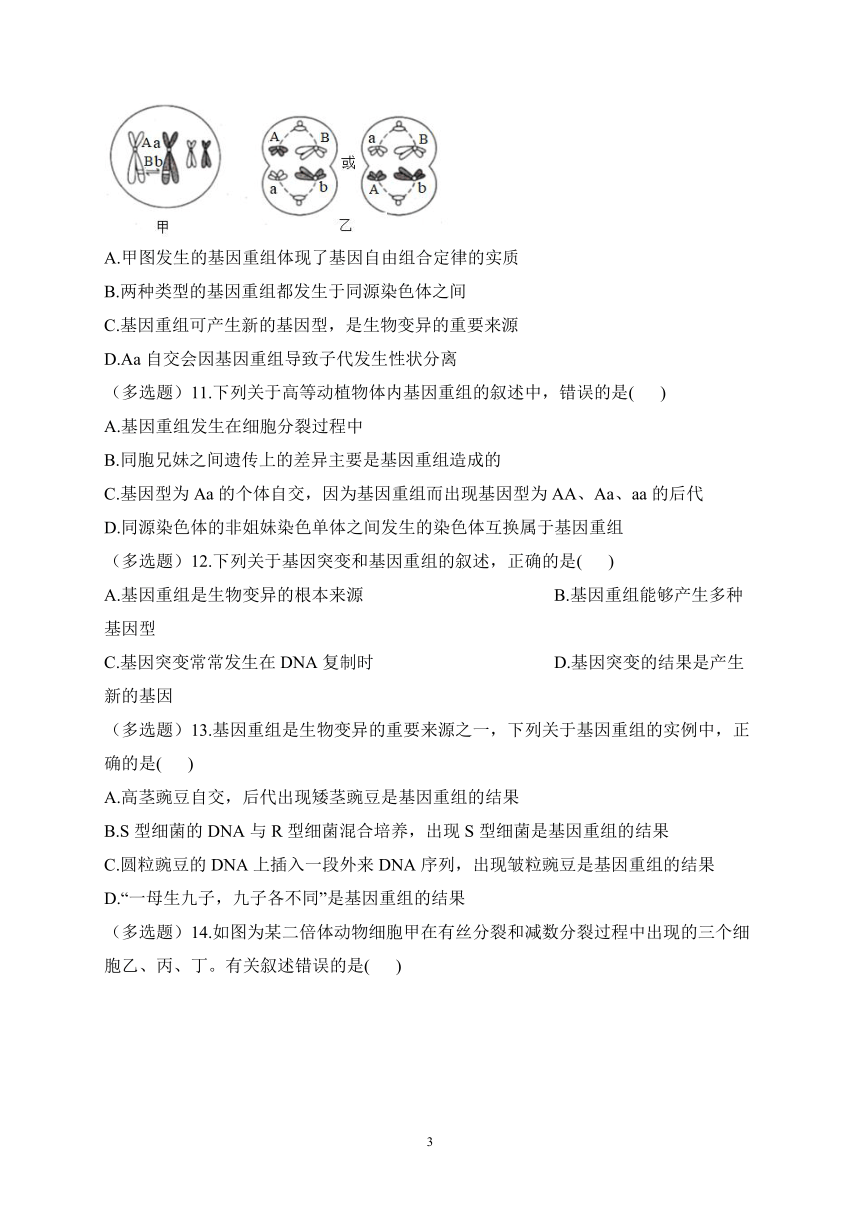 4.2基因重组使子代出现变异——2022-2023学年高一生物学浙科版（2019）必修二课时练习（有解析）