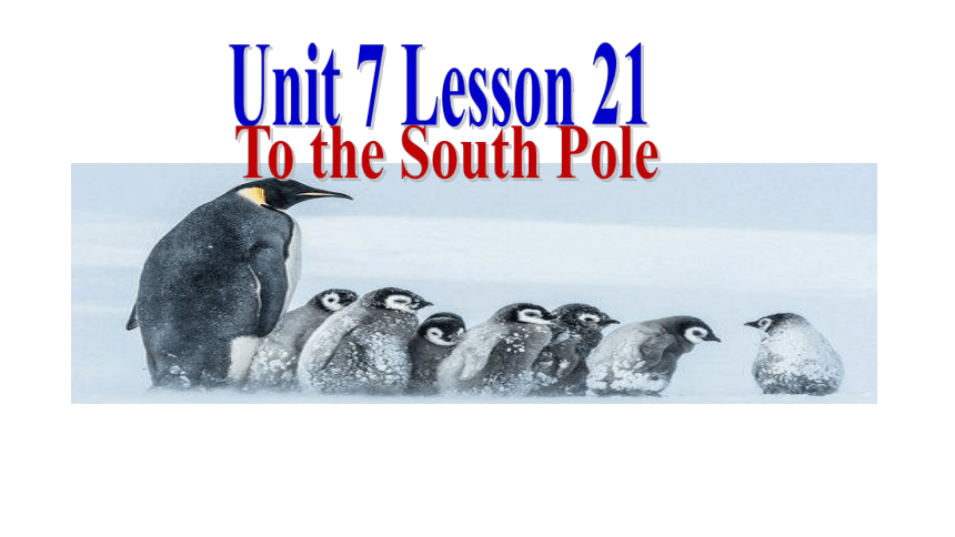 Unit 7 Journeys Lesson 21 To the South Pole 课件(共13张PPT)