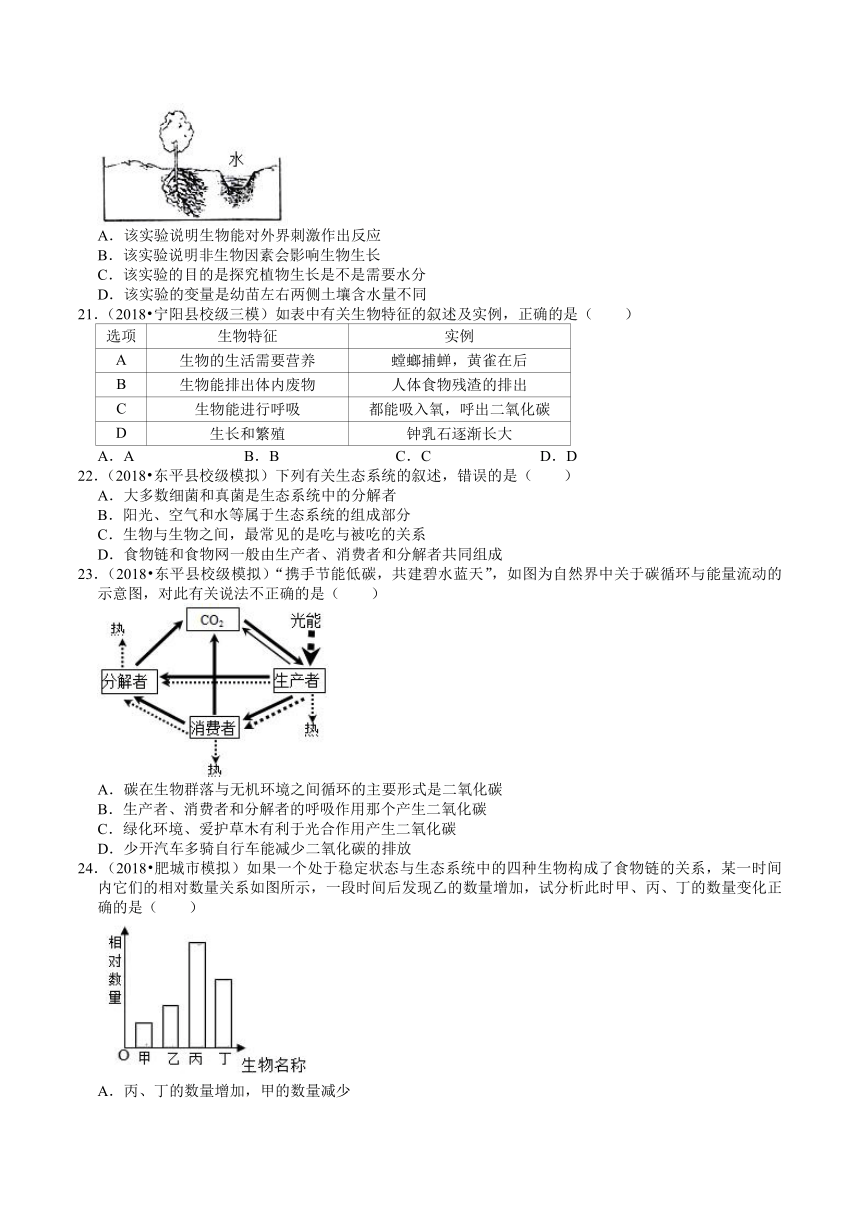 2018-2020年山东中考生物各地区模拟试题分类（泰安专版）（2）——生物与环境（word版含解析）