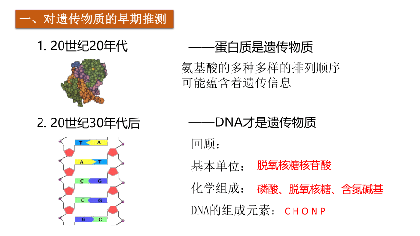 高中生物人教版（2019）必修2-3.1 DNA是主要的遗传物质课件(共30张PPT)