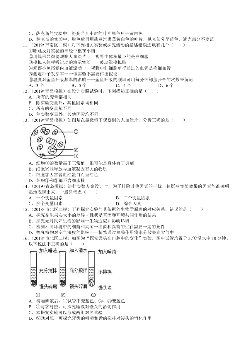 2016-2020年山东中考生物各地区模拟试题分类（青岛专版）（8）——生物实验（word版含解析）