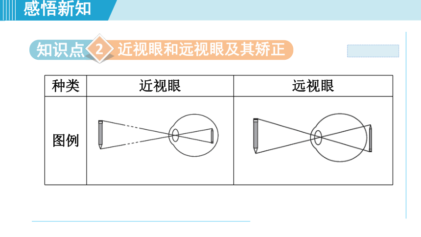 2023-2024学年苏科版八年级物理上册课件：4.4照相机与眼球 视力的矫正(共26张PPT)