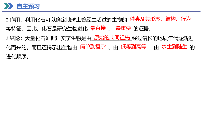 6.1 生物有共同祖先的证据 课件(共27张PPT) 2023-2024学年高一生物人教版（2019）必修第二册