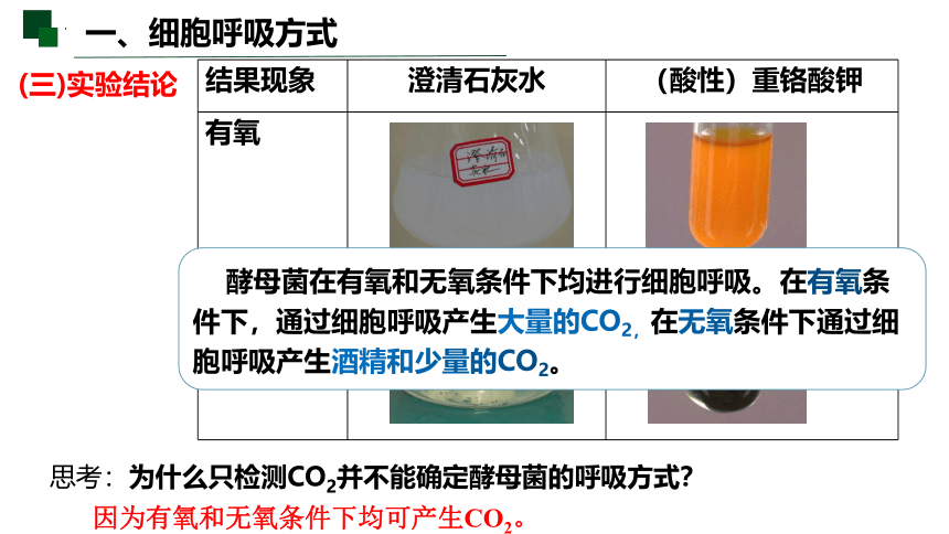 5.3.1 细胞呼吸的原理和应用课件-2022-2023学年高一上学期生物人教版（2019）必修1  课件 (共21张PPT)