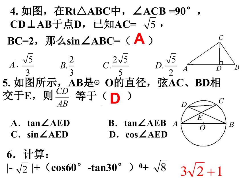 北师大版九年级数学下册第一章《直角三角形的边角关系》复习课件2(共41张PPT)