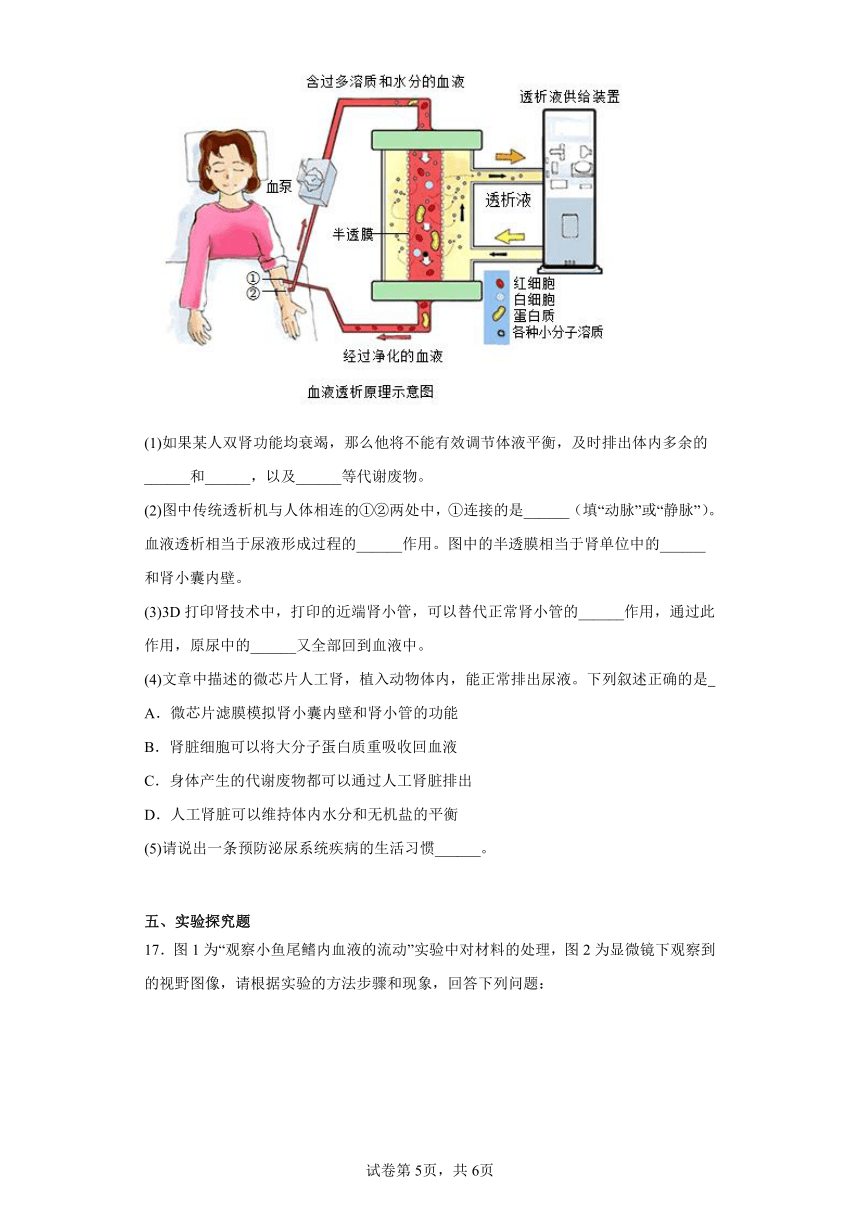 6.15 人体内平衡的维持 同步练习 （含解析） 苏科版八年级上册生物