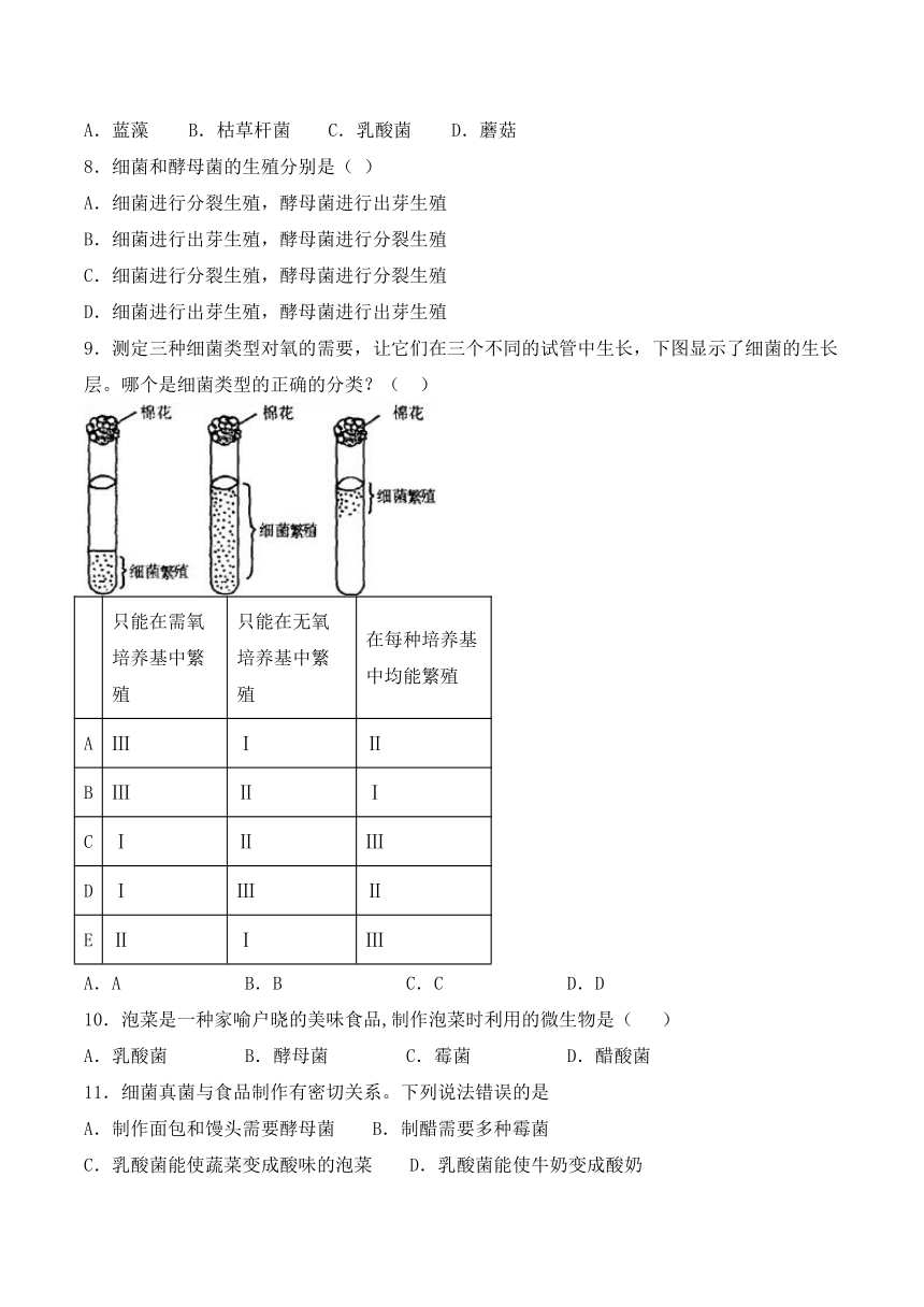 人教版初中生物八年级上册第五单元第四章《细菌和真菌》检测题（word版含答案）