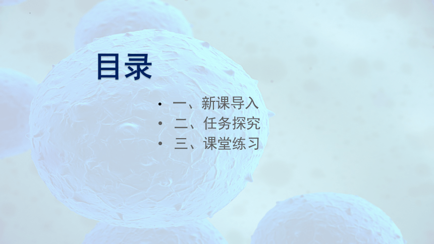 4.2 主动运输与胞吞、胞吐-高一生物课件（共29张PPT）（人教版2019必修1）