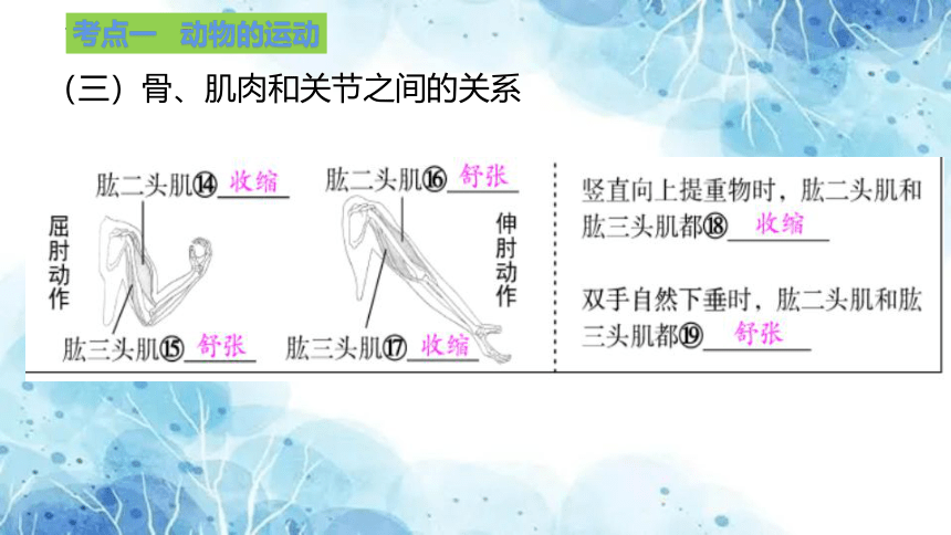 专题13 动物的运动和行为（课件）(共14张PPT)备战中考生物一轮复习考点（全国通用）