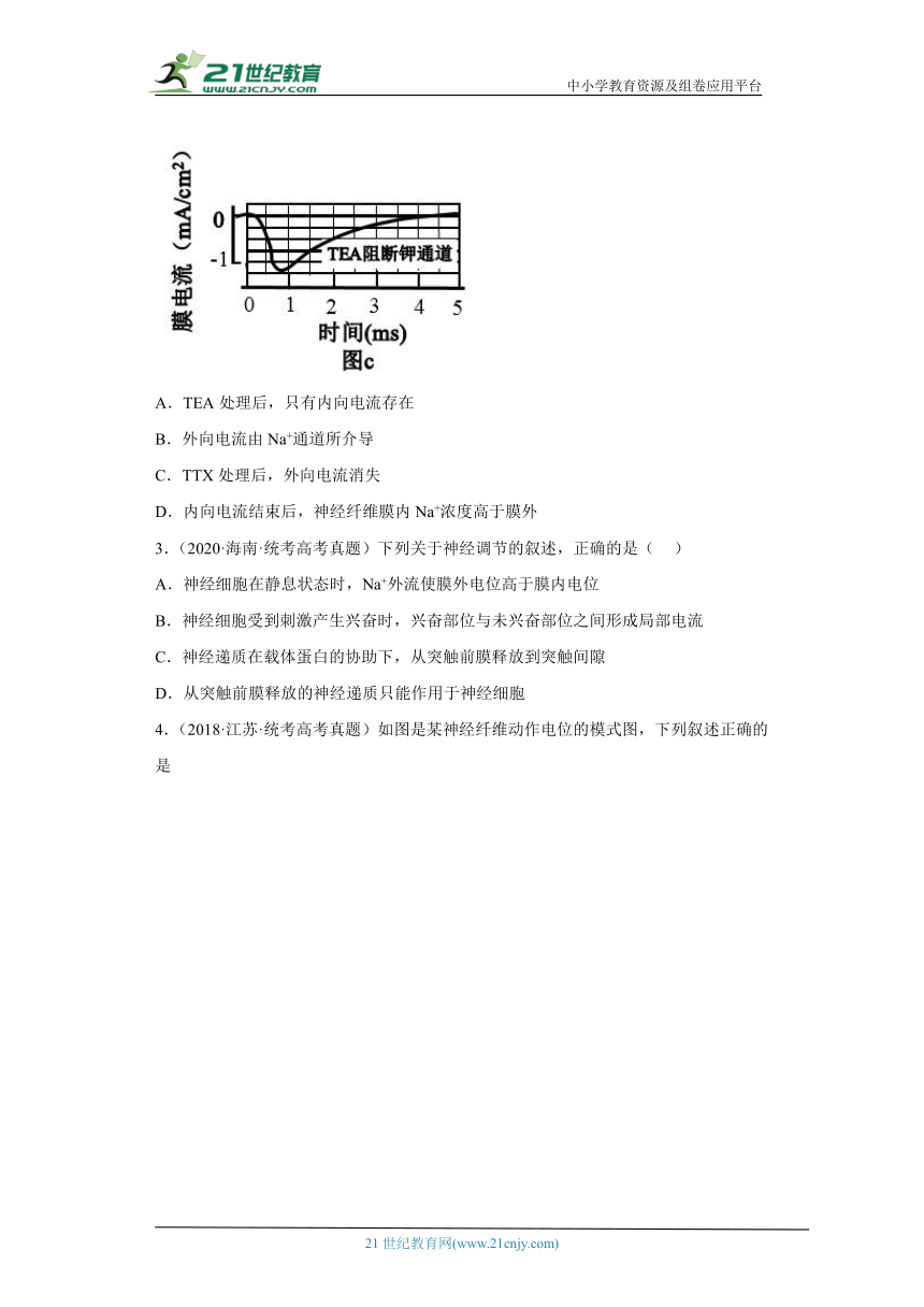 五年2018-2022高考生物真题按知识点分类汇编57-膜电位的变化及相关曲线、兴奋的传导和传递实验、药物对兴奋传导和传递的影响（含解析）