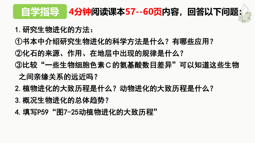 7.3.2生物进化的历程课件 （第23张PPT）人教版生物八年级下册