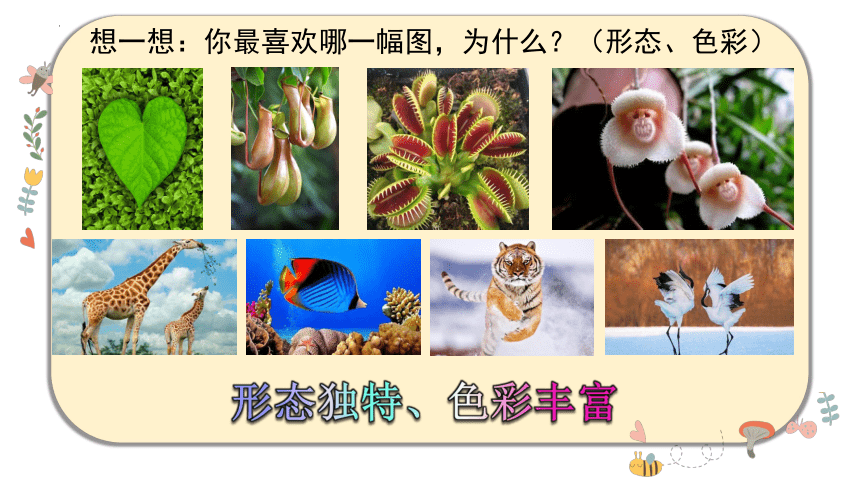 人教版 美术一年级上册 第20课 美丽的植物和的动物（课件）(共24张PPT)