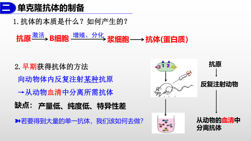 2.2.2动物细胞融合技术与单克隆抗体(共34张PPT1份视频)课件2023-2024学年高二下学期生物人教版（2019）选择性必修3