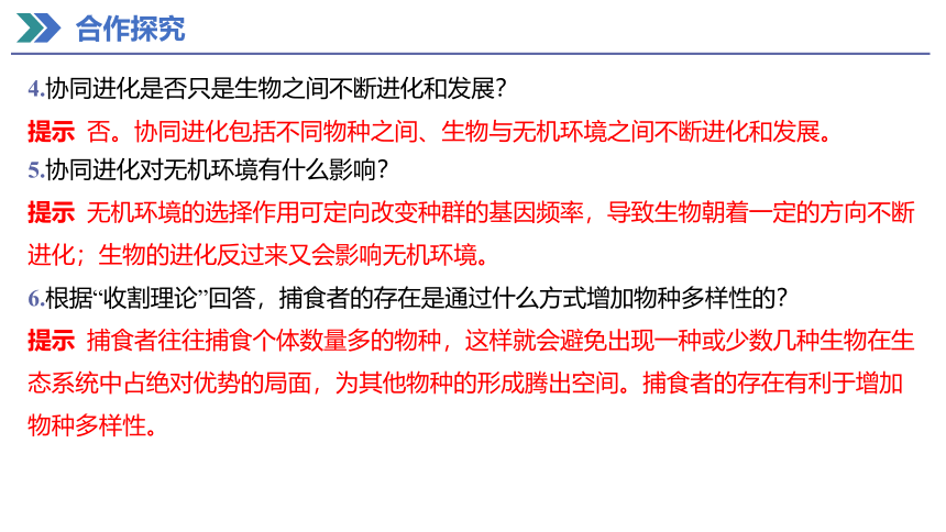 6.4 协同进化与生物多样性的形成 课件(共26张PPT) 2023-2024学年高一生物人教版（2019）必修第二册