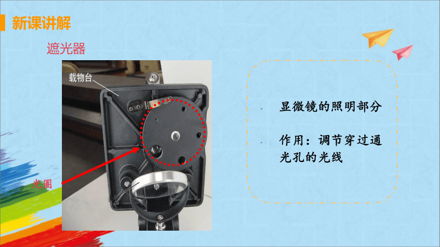 2022-2023学年人教版生物七年级上册 2.1.1 练习使用显微镜  教学课件（共37张PPT）