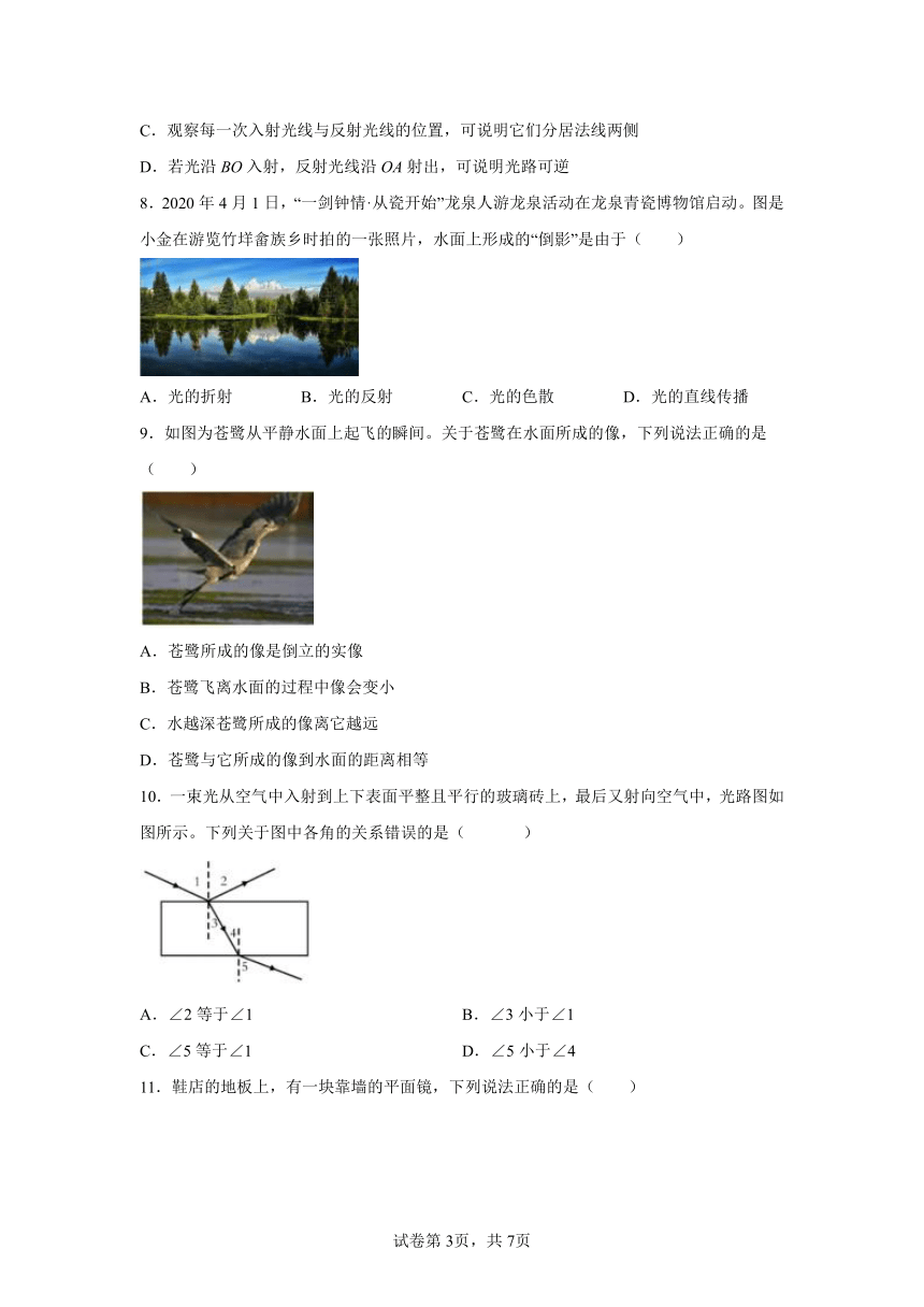 第5节 光的反射与折射 同步练习（含答案）