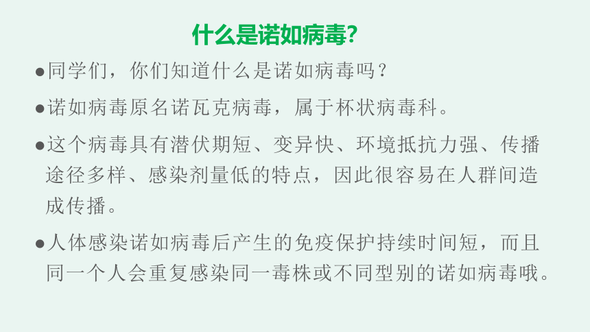 预防诺如，守护健康——小学2023年春预防诺如病毒主题班会课件(共21张PPT)