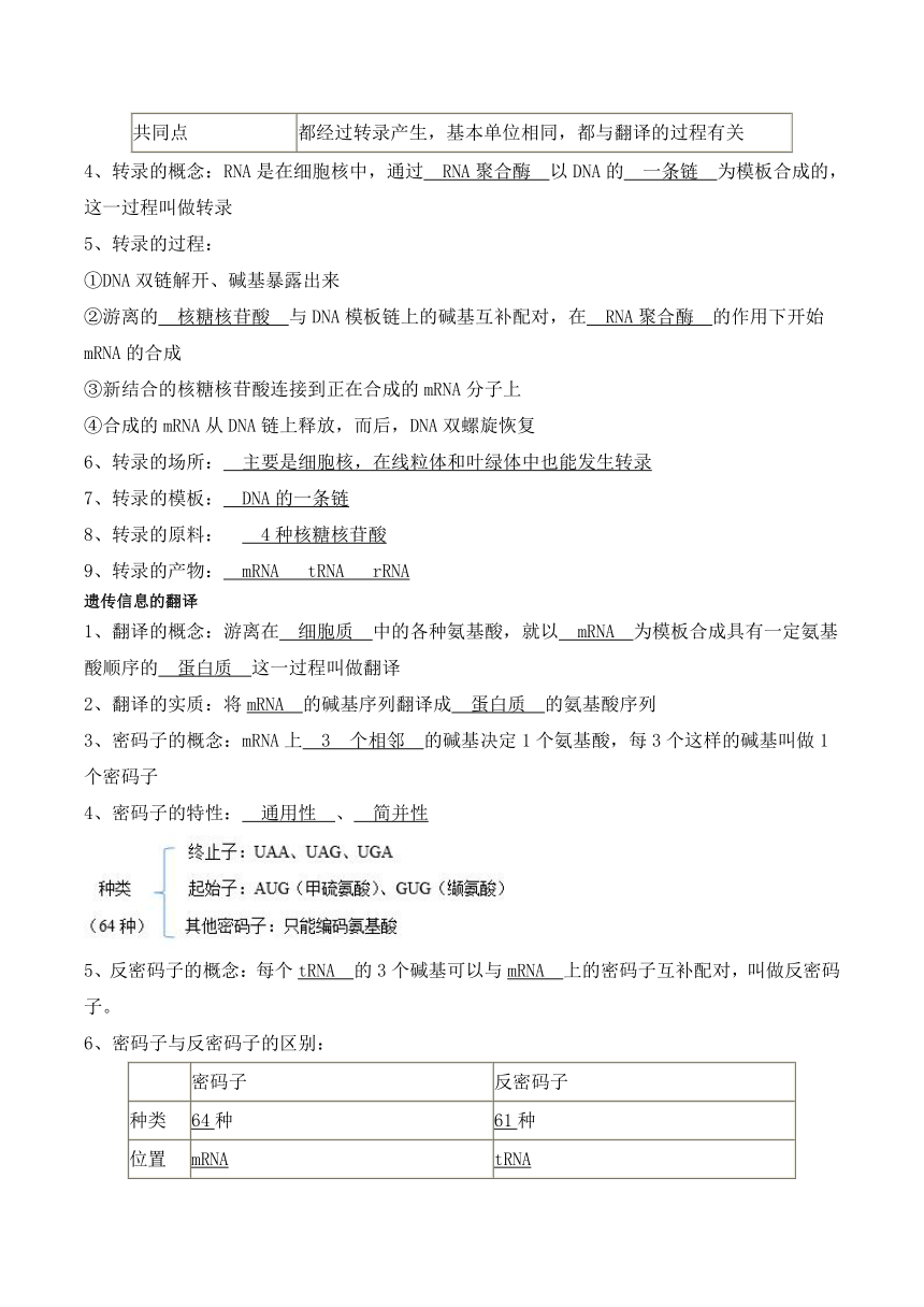 4.1 基因指导蛋白质的合成学案