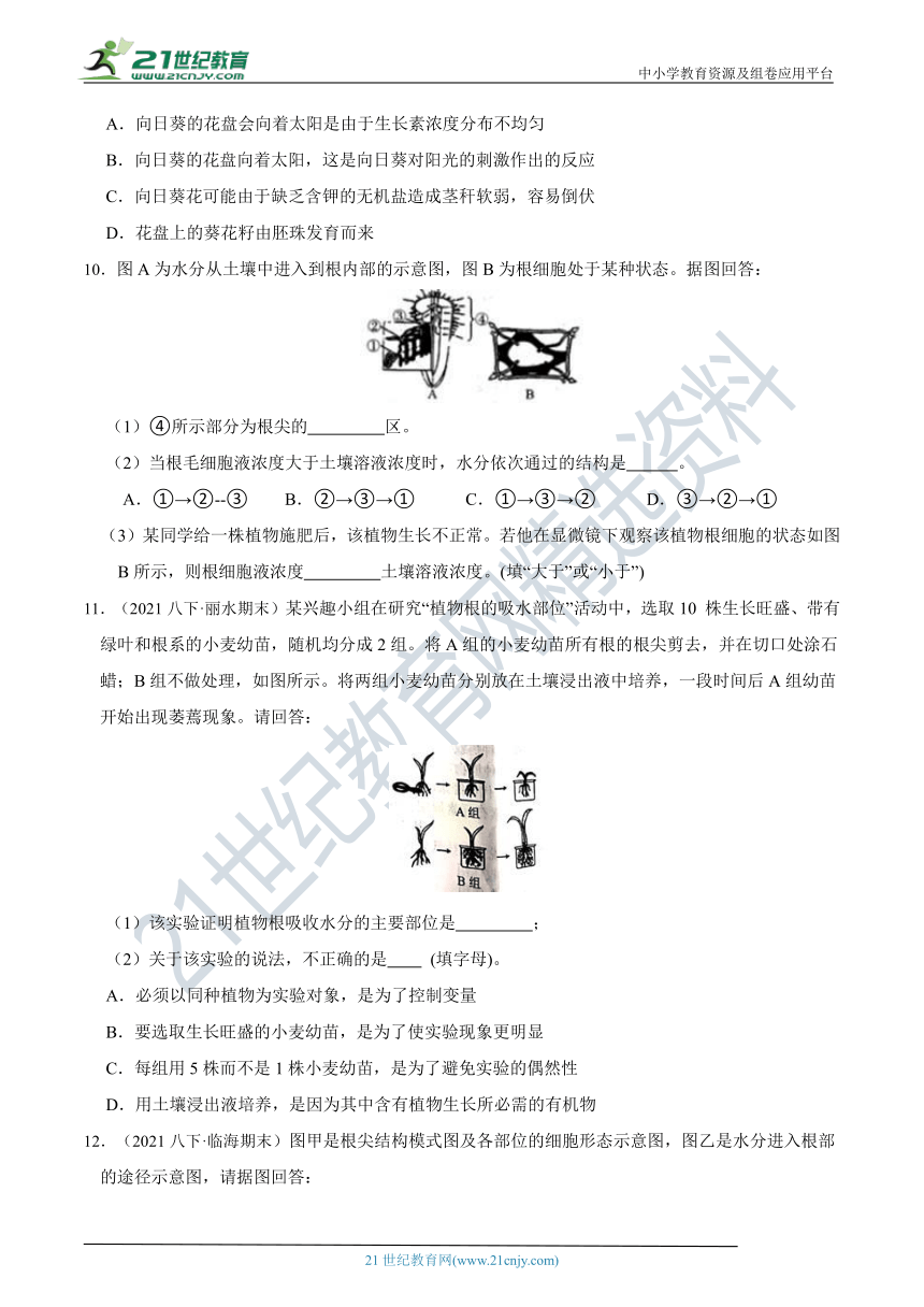 【8年级下册同步讲练测】4.3 植物的根与物质吸收 知识点精练（含答案）