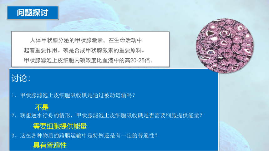 4.2 主动运输与胞吞、胞吐-高一生物课件（共29张PPT）（人教版2019必修1）