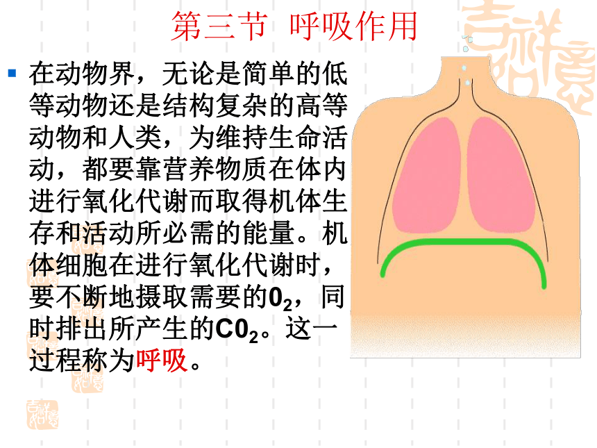 生物奥赛_第三节  呼吸作用(共39张PPT )