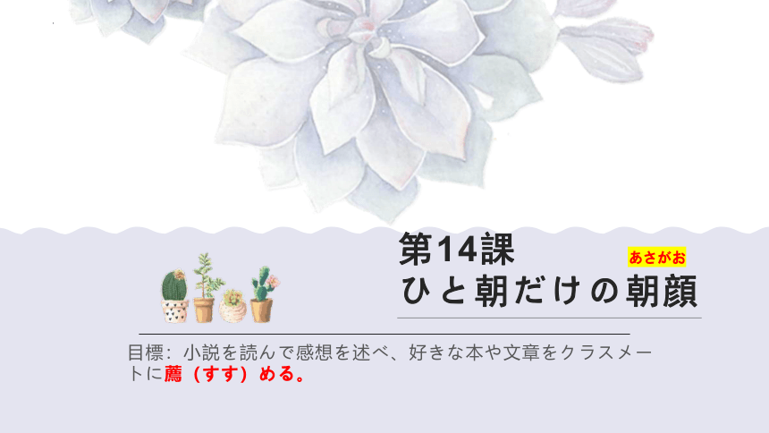 第14課 ひと 朝だけの朝顔 单词课件（29张）