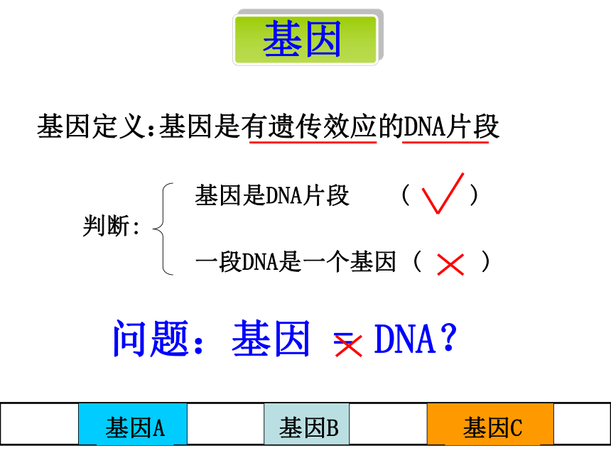 2020-2021学年高一生物人教版必修二3.4基因是有遗传效应的DNA片段课件（共17张PPT）