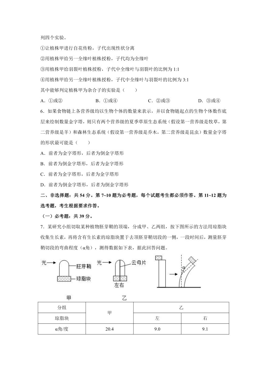 2019年高考生物真题及解析（全国卷II）