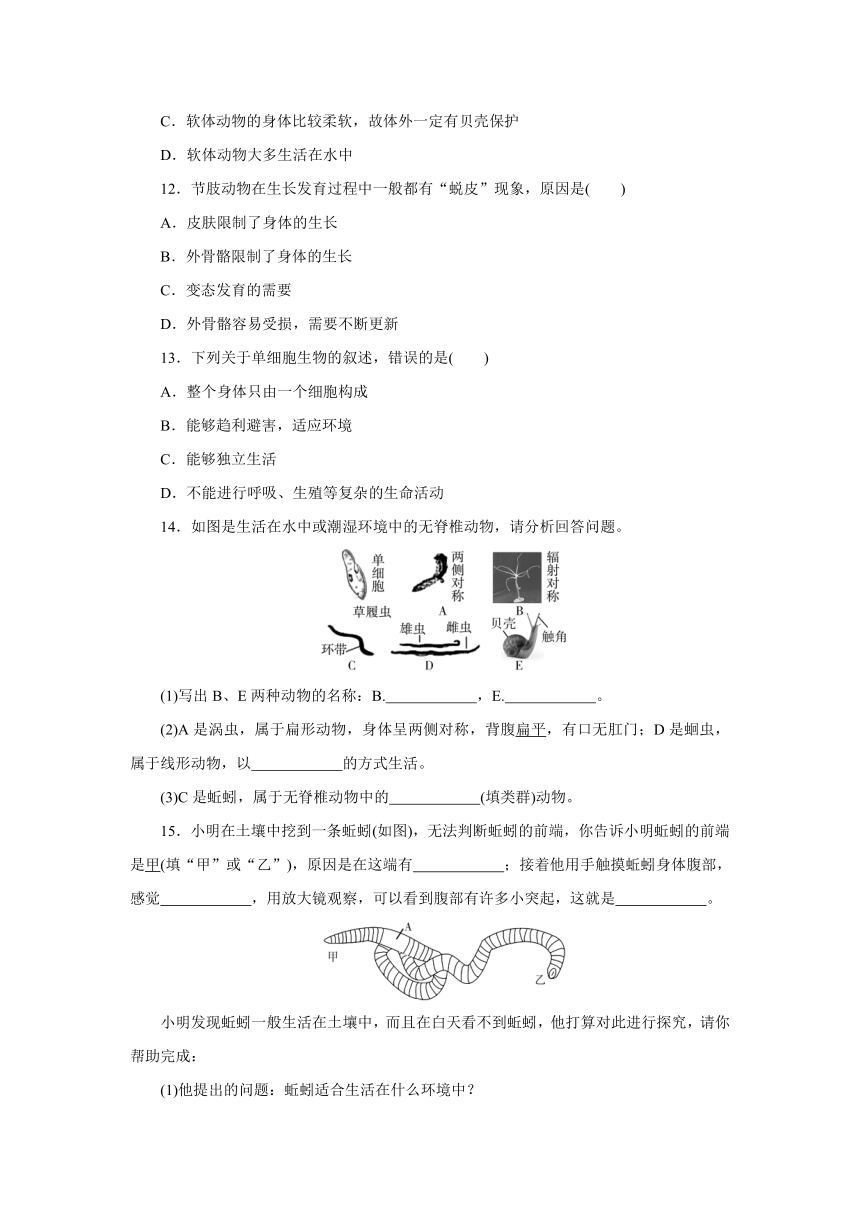 2.1动物的主要类群  同步练习（含答案）