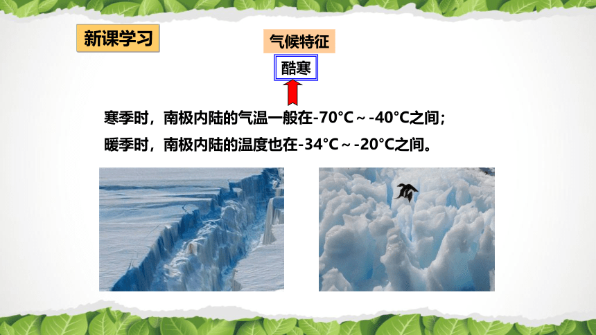 2020-2021学年人教版七年级地理下册第十章《极地地区》课件（共44张PPT）