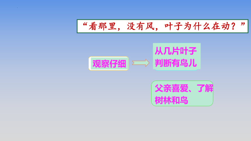 23.《父亲、树林和鸟》第二课时课件（共22张PPT）