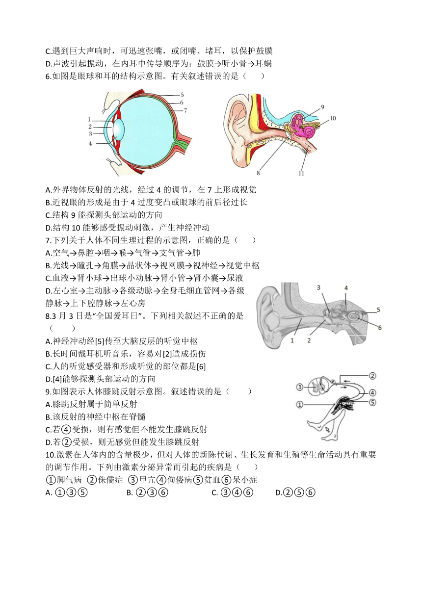 山东省临沂市临沭县2022-2023学年七年级下学期5月月考生物试题（无答案）