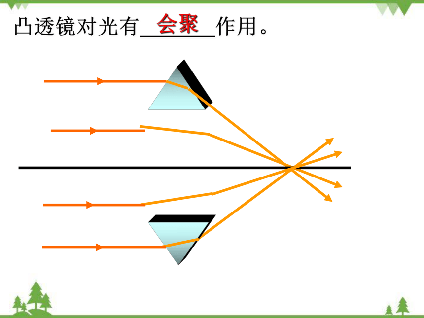 沪科版八年级物理上册 第4章 第5节 科学探究：凸透镜成像 第1课时课件(共15张PPT)