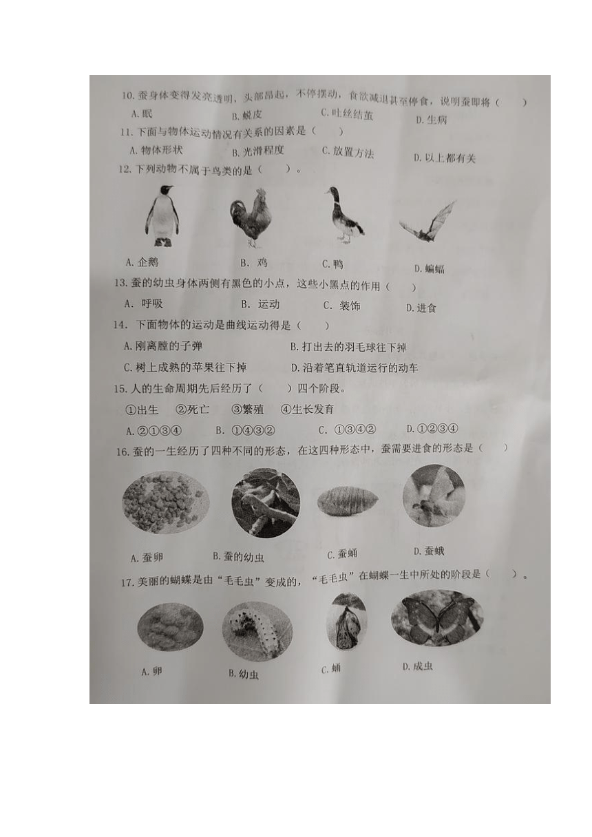 福建省龙岩市武平县2022-2023学年第二学期小学科学三年级下册期中随堂练习（图片版无答案）