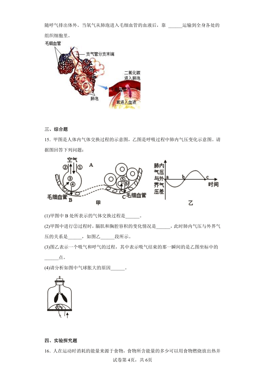 第10章 人体的能量供应 章节练习 （含解析）北师大版七年级下册生物