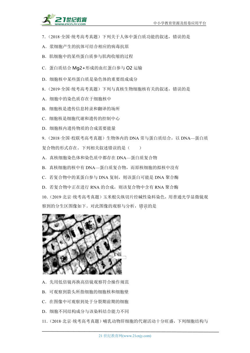 五年2018-2022高考生物真题按知识点分类汇编12-细胞核（含解析）