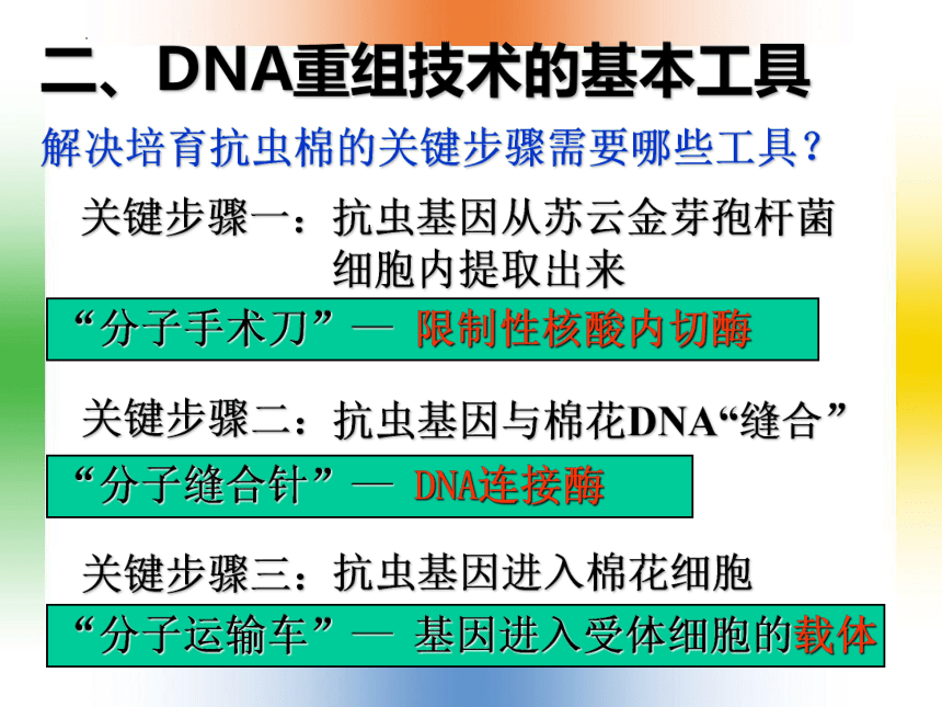 1.1DNA重组技术的基本工具课件（41张ppt）2020-2021学年高二下学期生物人教版（2019）选修3