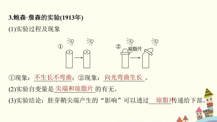 5.1 植物生长素(共82张PPT)