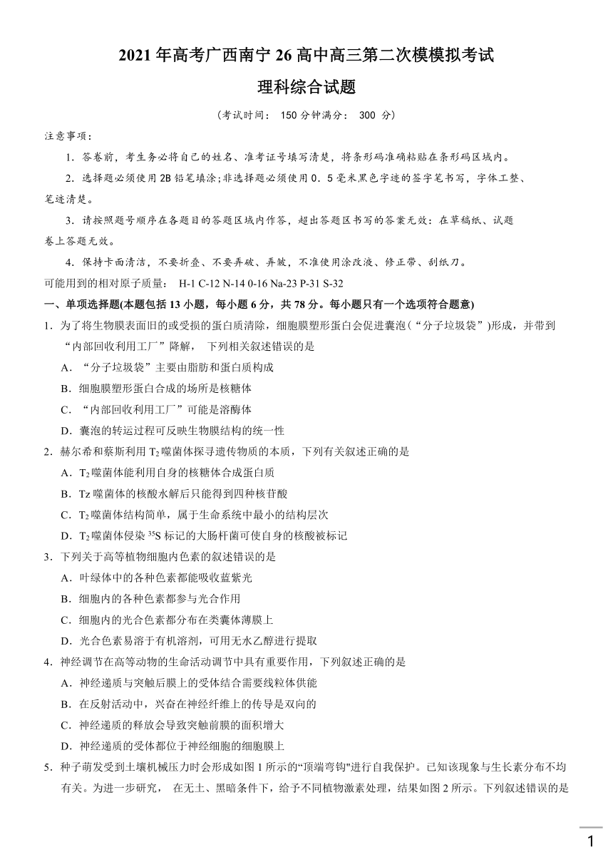 广西南宁第26高中2021届高三下学期5月第二次模拟考试理综试题 Word版含答案