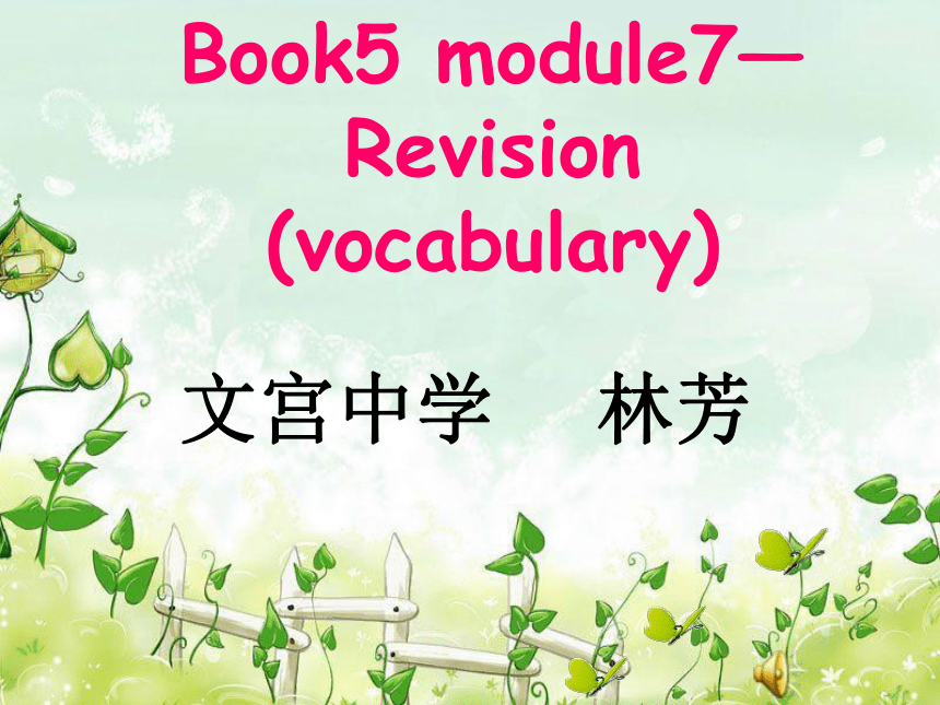 外研版 必修5 Module 7 Revision (vocabulary)教学课件 (共25张PPT)