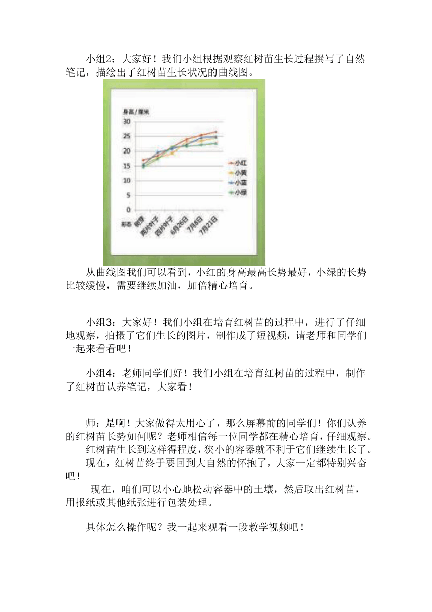 活动十四  《认养红树苗  我们在行动》 教案 2021—2022学年北师大版七年级劳动教育下册